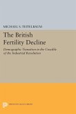 The British Fertility Decline (eBook, PDF)