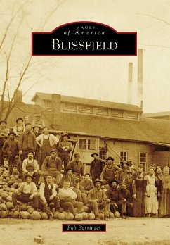 Cover Blissfield (eBook, ePUB)