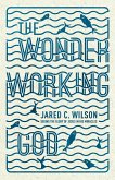 The Wonder-Working God (eBook, ePUB)
