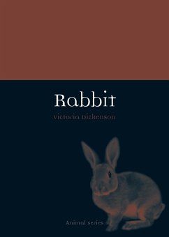 Cover Rabbit (eBook, ePUB)
