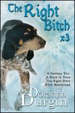 The Right Bitch Trio (eBook, ePUB) The Right Bitch Trio (eBook, ePUB)