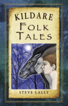 Kildare Folk Tales (eBook, ePUB) - Lally, Steve