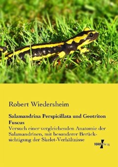 Salamandrina Perspicillata und Geotriton Fuscus - Wiedersheim, Robert