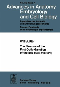 Cover The Neurons of the First Optic Ganglion of the Bee (Apis mellifera)
