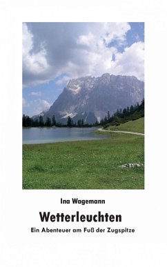 Cover Wetterleuchten (eBook, ePUB)