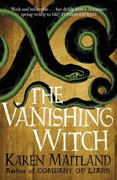 Cover The Vanishing Witch (eBook, ePUB)
