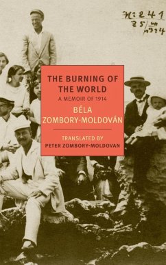 The Burning of the World (eBook, ePUB) - Zombory-Moldovan, Bela