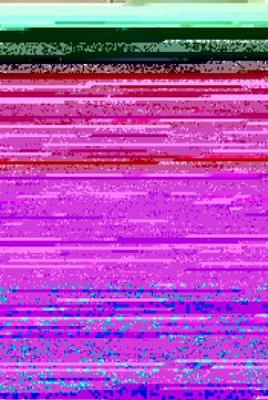 Cover A Christian Soldier's Dilemma in Iraq (eBook, ePUB)