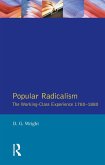 Popular Radicalism (eBook, ePUB)