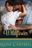 Wildflower (eBook, ePUB) Wildflower (eBook, ePUB)