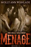Menage (eBook, ePUB)