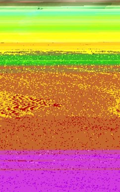 Cover Rushlight (eBook, ePUB)