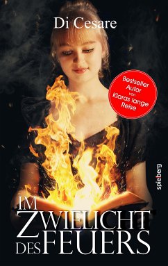 Im Zwielicht des Feuers (eBook, ePUB) - Di Cesare, Reinhold