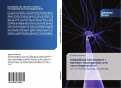 Intracellular ion channel 1 between neurogenesis and neurodegeneration - Averaimo, Stefania