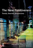 The New Punitiveness (eBook, ePUB)
