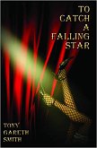 To Catch a Falling Star (eBook, ePUB)