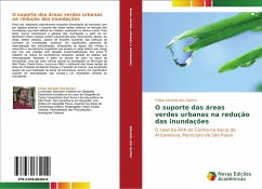 O suporte das áreas verdes urbanas na redução das inundações