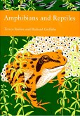 Amphibians and Reptiles (eBook, ePUB)