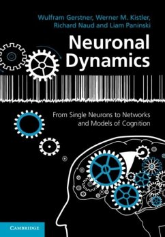 Neuronal Dynamics (eBook, PDF) - Gerstner, Wulfram