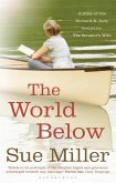 The World Below (eBook, ePUB)