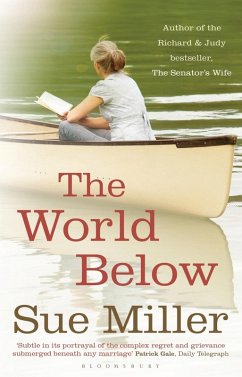 The World Below (eBook, ePUB) - Miller, Sue