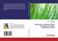 Molecular Analysis of Rice Genotypes for Blast Resistance Genes - Trivedi, Ruchi;Punwar, Bhupendra singh;Jadeja, G. C.