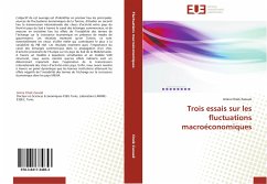 Cover Trois essais sur les fluctuations macroéconomiques