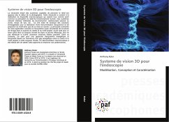 Cover Systeme de vision 3D pour l'endoscopie