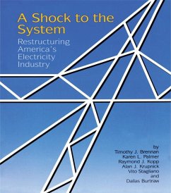 A Shock to the System (eBook, PDF) Cover A Shock to the System (eBook, PDF)