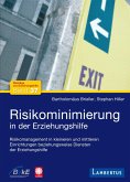 Risikominimierung in der Erziehungshilfe (eBook, PDF)