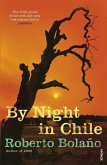 By Night in Chile (eBook, ePUB)