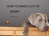 How To Make A Lot Of Money (eBook, ePUB)