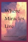 Where Miracles Live (eBook, ePUB) Where Miracles Live (eBook, ePUB)
