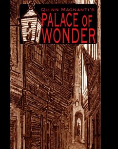 Cover The Palace of Wonder (eBook, ePUB)