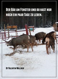 DER BÄR AM FENSTER UND DU HAST NUR NOCH EIN PAAR TAGE ZU LEBEN (eBook, ePUB) - WALLNER, VALENTIN