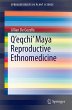 Q'eqchi' Maya Reproductive Ethnomedicine - Bild 1
