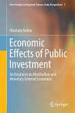 Economic Effects of Public Investment
