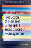 Production of biodiesel using lipase encapsulated in ¿-carrageenan