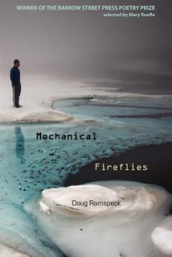 Cover Mechanical Fireflies