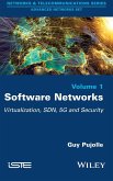 Software Networks