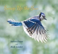 Sweep Up the Sun - Frost, Helen