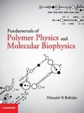 Fundamentals of Polymer Physics and Molecular Biophysics