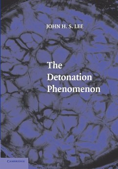 The Detonation Phenomenon - Lee, John H. S.