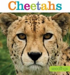 Seedlings: Cheetahs - Riggs, Kate