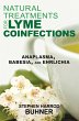 Natural Treatments for Lyme Coinfections - Bild 1