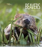 Living Wild: Beavers