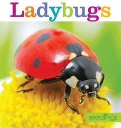 Seedlings: Ladybugs - Frisch, Aaron