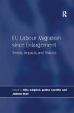 EU Labour Migration since Enlargement