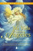 Mi Vida Con los Angeles = My Life with the Angels