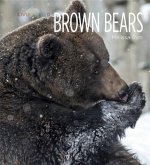 Living Wild: Brown Bears